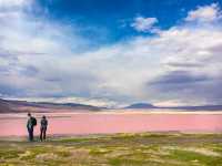 【ボリビア】神秘のピンクの湖✨Laguna Colorada