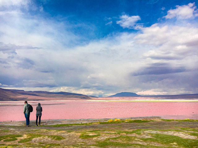【ボリビア】神秘のピンクの湖✨Laguna Colorada