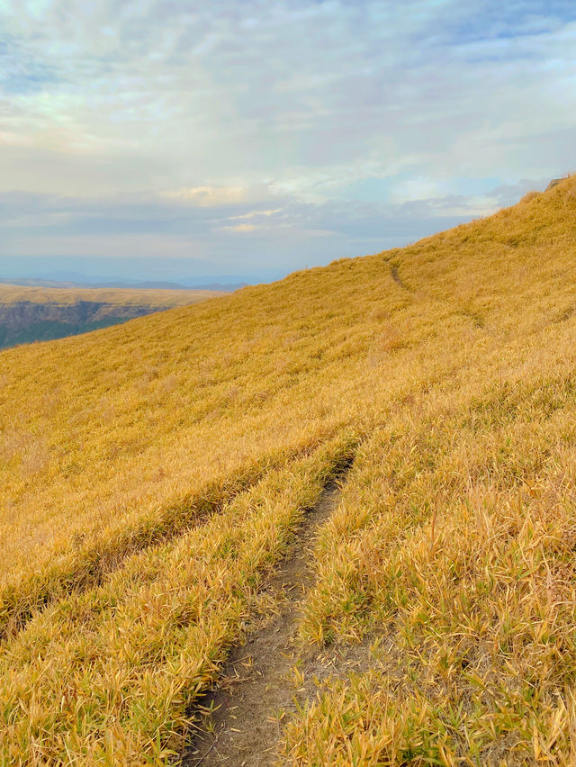 【熊本】🏞️ これぞ阿蘇！秋の絶景を一望できるスポット 🍁