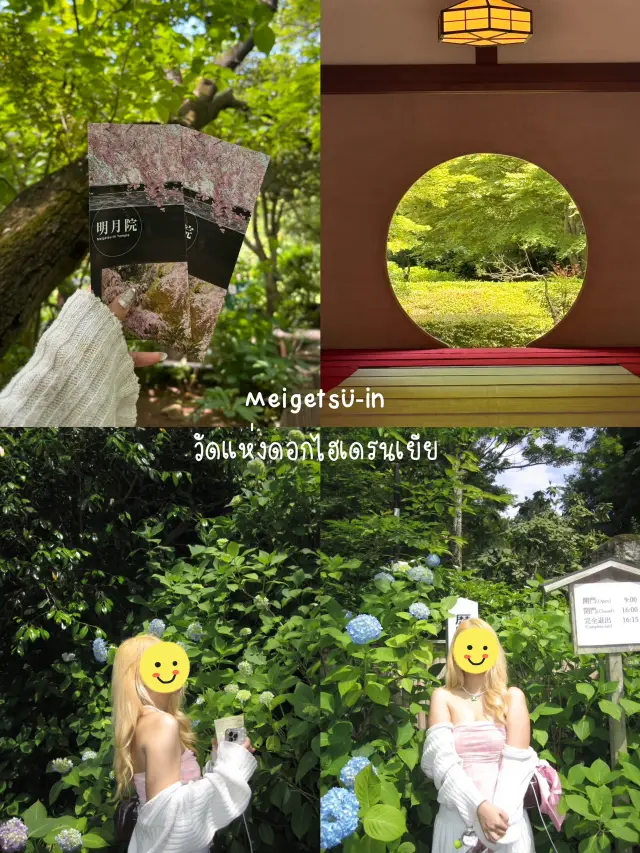 Meigetsu-in วัดแห่งดอกไฮเดรนเยีย