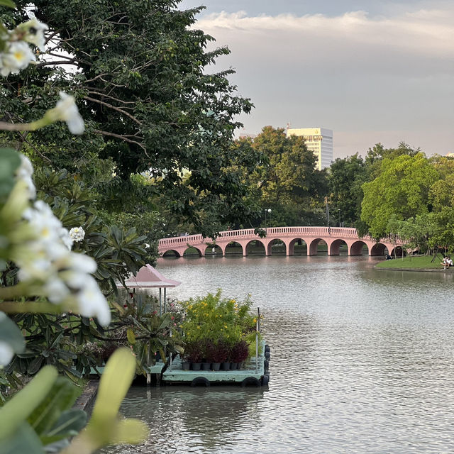 Unwind and Explore: The Hidden Oasis of Chatuchak Park