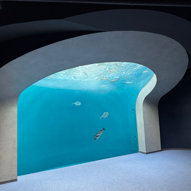 可能係世一嘅水族館⋯⋯四國
