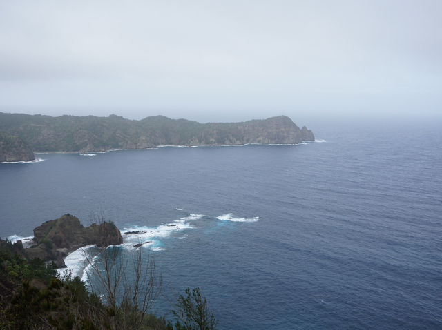 小笠原諸島｜日本のガラパゴス、世界遺産の島・父島