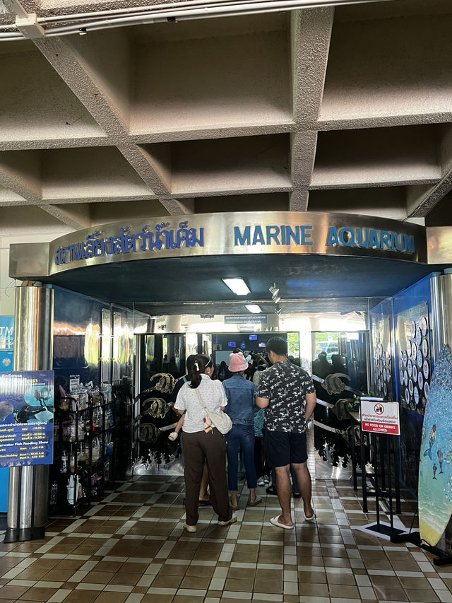 🐠 แนะนำสถาบันวิทยาศาสตร์ทางทะเลบางแสน,ชลบุรี