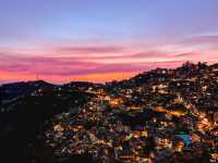 Shimla with its natural habitat!