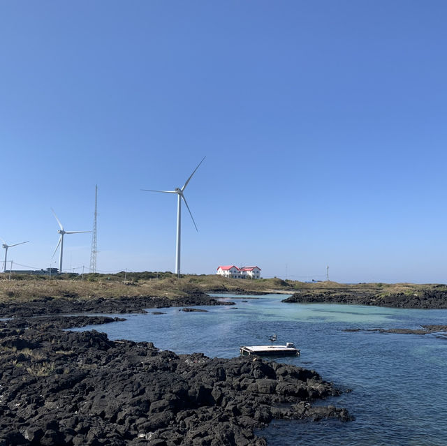 화창한 가을날의 제주도🏞️ 가족들이랑 한라산부터 월정리 해수욕장까지💕