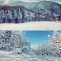 札幌國際滑雪場