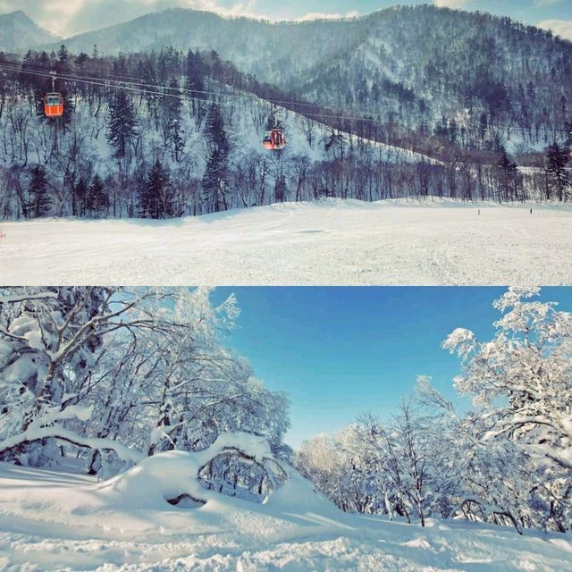札幌國際滑雪場