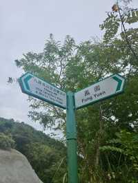 香港行山 – 蝴蝶飛舞+流水響聲 – 流水響和鶴藪水塘
