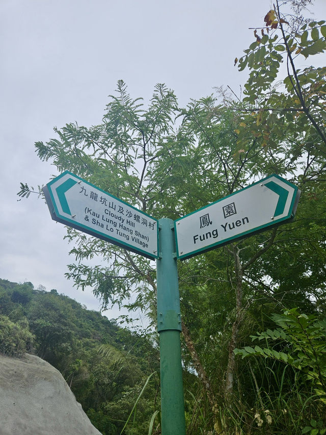 香港行山 – 蝴蝶飛舞+流水響聲 – 流水響和鶴藪水塘