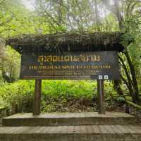 Day trip to the enchanted forest at Doi Inthanon summit