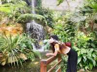 สำรวจความงามธรรมชาติที่สวนพฤกษศาสตร์แม่ริม 