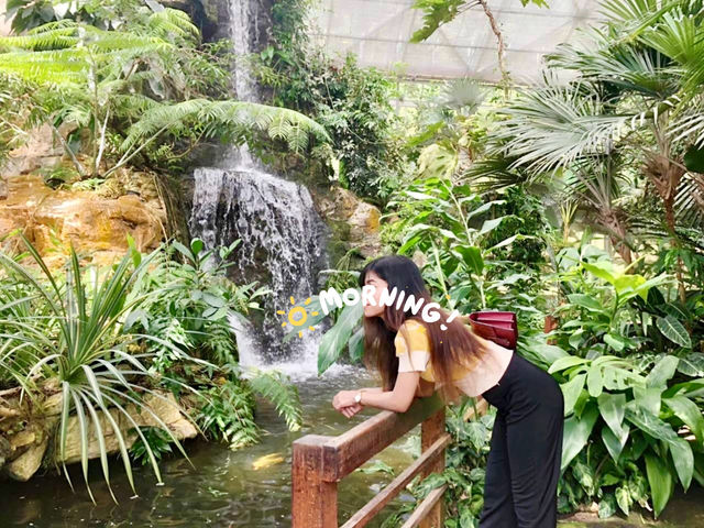 สำรวจความงามธรรมชาติที่สวนพฤกษศาสตร์แม่ริม 