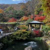 Fall in Hwadamsup, Korea