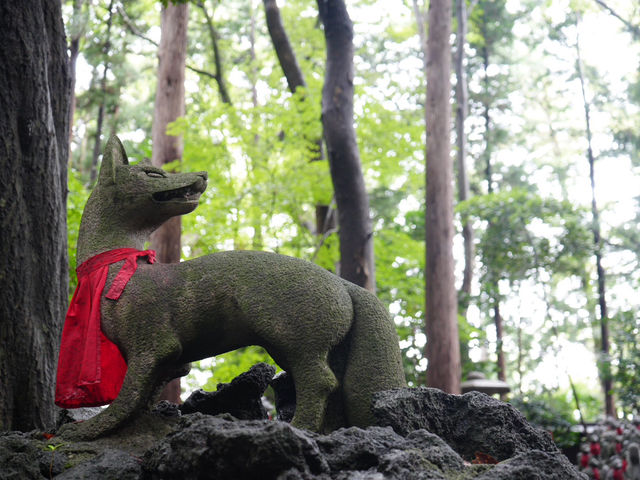 【愛知観光】妙厳寺（豊川稲荷） – 商売繁盛や金運アップのご利益で有名⛩️
