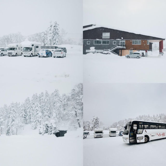 เที่ยวฮอกไกโดแบบฟินๆ จุกๆ ใน 5 วัน 4 คืน⛄️❄️🇯🇵