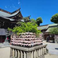 Kushida Shrine ⛩️🙇🏻‍♀️🇯🇵 Fukuoka, Japan