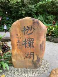 深圳一日遊行程推介💝仙湖植物園❗️網紅必去打卡點