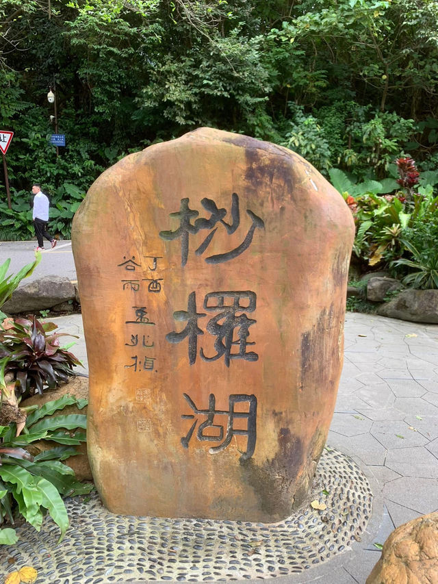 深圳一日遊行程推介💝仙湖植物園❗️網紅必去打卡點