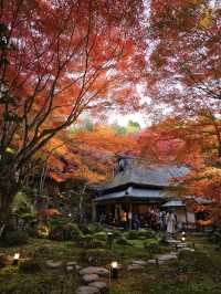【紅葉特集】一生に一度は行きたい‼️聖徳太子ゆかりの紅葉スポット🍁