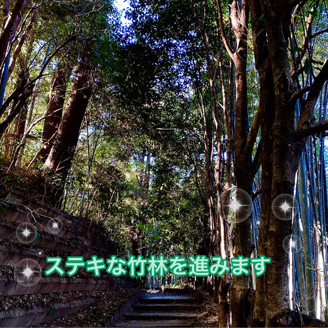 知多半島の城巡り　常滑市　大野城
