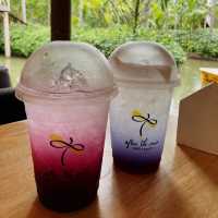 打卡之選💛After the rain泰國特色熱帶雨林主題cafe🌴