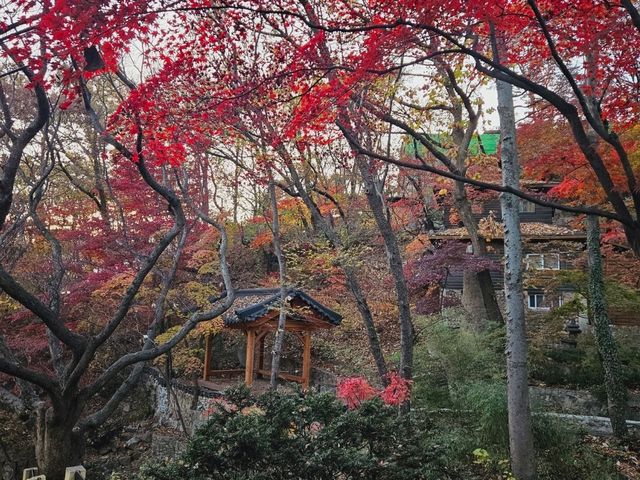 The magnificient autumn foliage at Gilsangsa