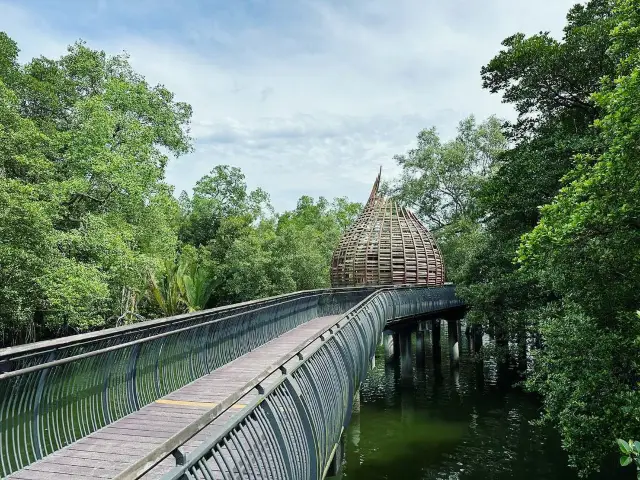 探索双溪布洛湿地保护区的自然美景。