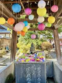 京都 ❤︎ 紅葉のリフレクションが素敵🍁✨秋のおすすめスポット❤︎