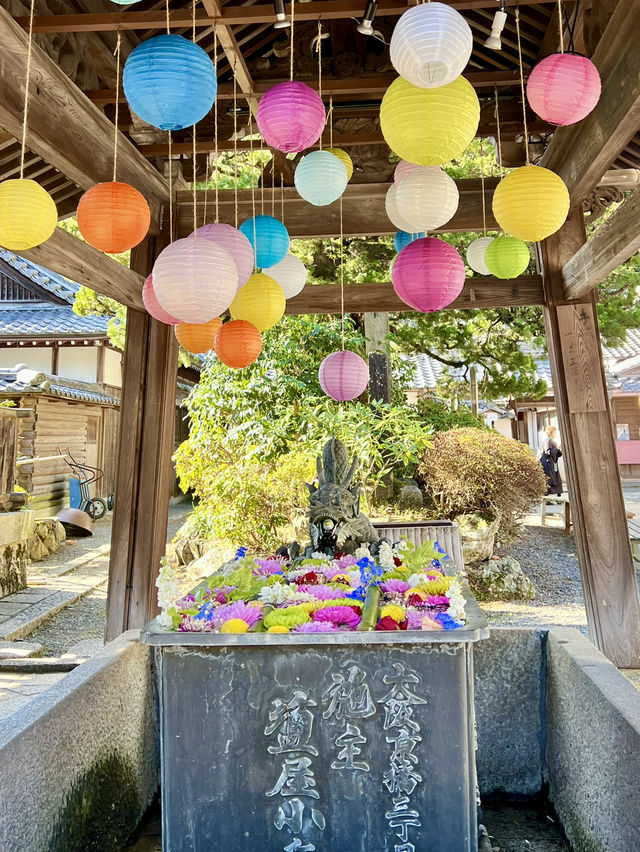京都 ❤︎ 紅葉のリフレクションが素敵🍁✨秋のおすすめスポット❤︎
