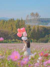 너무 행복했던 나의 분홍 빛 가을💖🌸🦄🎀