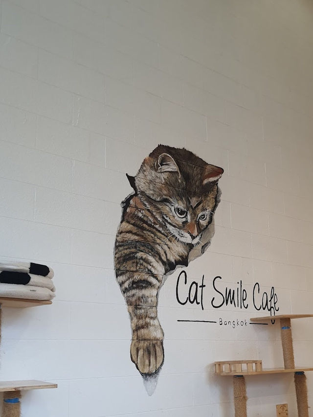 Catsmile Cafe🐈