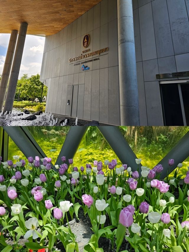 สัมผัสความงามของพรรณไม้เมืองหนาว 🌷
