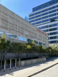 ［達拉斯旅遊］The Dallas Museum of Art-不能錯過的博物館🖼️
