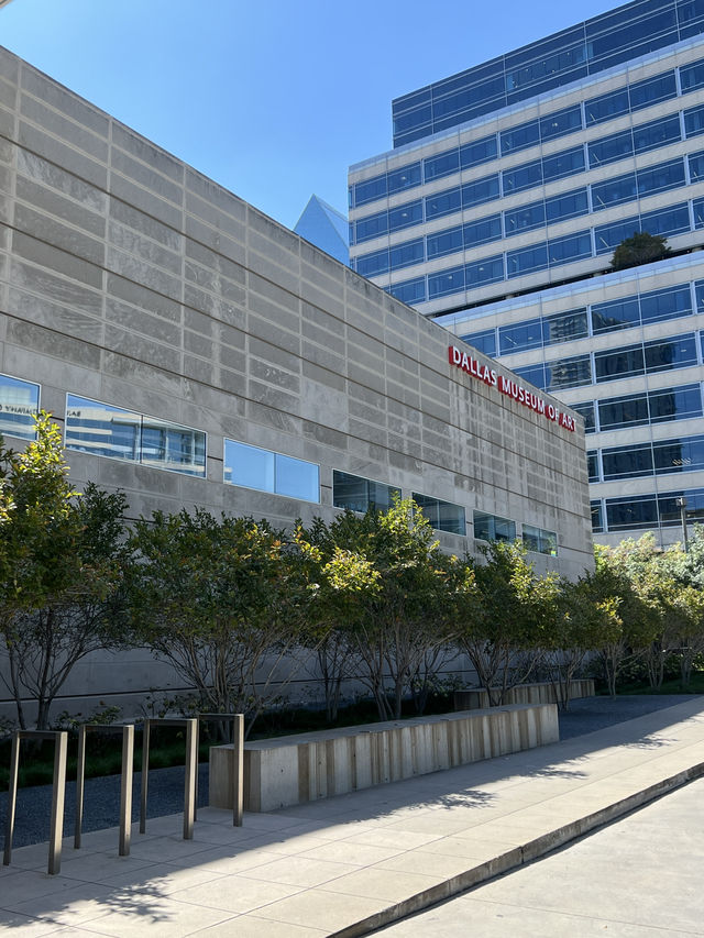 ［達拉斯旅遊］The Dallas Museum of Art-不能錯過的博物館🖼️