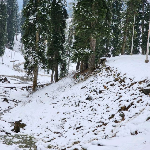 กุลมาร์ค (Gulmarg) @แคชเมียร์