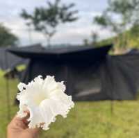 ลานการเต็นท์กาญจนบุรี 🏕️