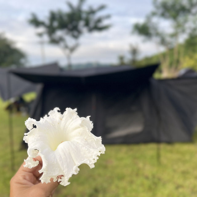 ลานการเต็นท์กาญจนบุรี 🏕️