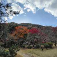 嵐山 天龍寺