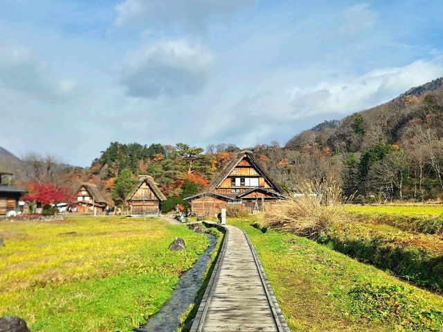 走進童話世界 - 秋天の白川鄉合掌村