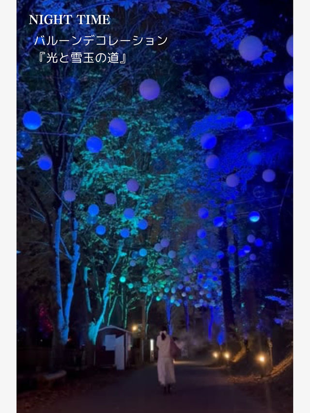 【埼玉】まるでフィンランド！ムーミンに会えるテーマパーク