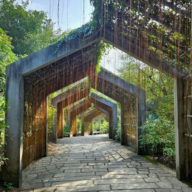 福建厦門4天3夜 ｜鼓浪嶼 • 沙坡尾 • 植物園 • 來瘋喜劇