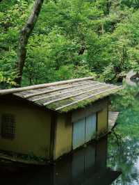 景點推薦：根津美術館——靜謐庭園與東方藝術的交融