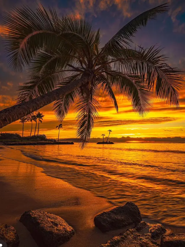 🎅🏼Santa’s Top 3 Spots for a Sunset in Oahu! Ho Ho Ho!