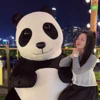 🇭🇰香港最靓巨型聖誕樹🎄熊貓🐼打卡位🥰你仲唔快d去打卡