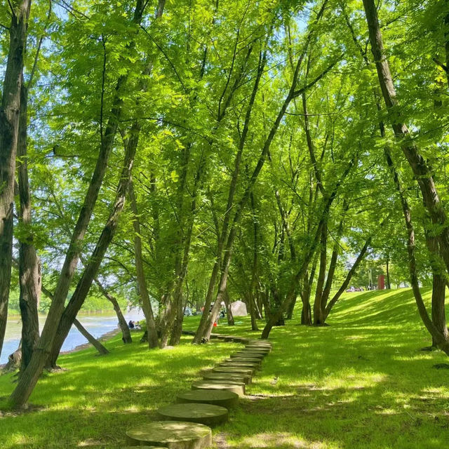 田心森林公園🪻清新療癒