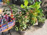 หาขนมกินที่ตลาดน้ำบางน้ำผึ้งกันเถอะ