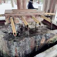 Winter Journey to Hokkaido Jingu Shrine