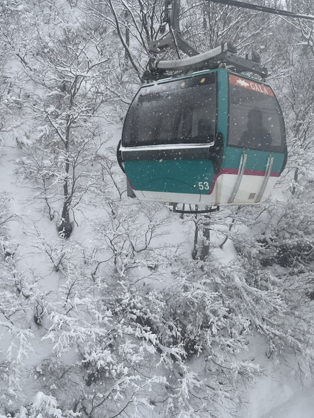 Gala yuzawa Snow resort