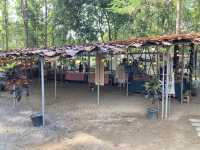 ตลาดสุดชิค “กาดต๋องตึง” เชียงใหม่